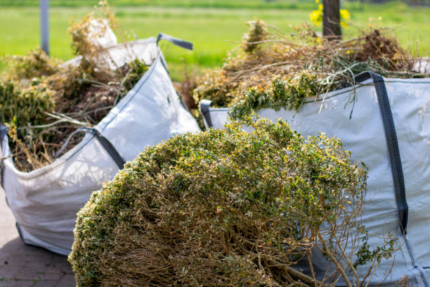 Best Yard Waste Removal  in York, AL